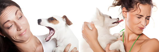 Köpeğinizin Nefesi Sizi Rahatsız mı Ediyor? Günde 30 saniye bu sıvı probiyotiği deneyin... ve tekrar sevgi dolu öpücüklerin keyfini çıkarın!