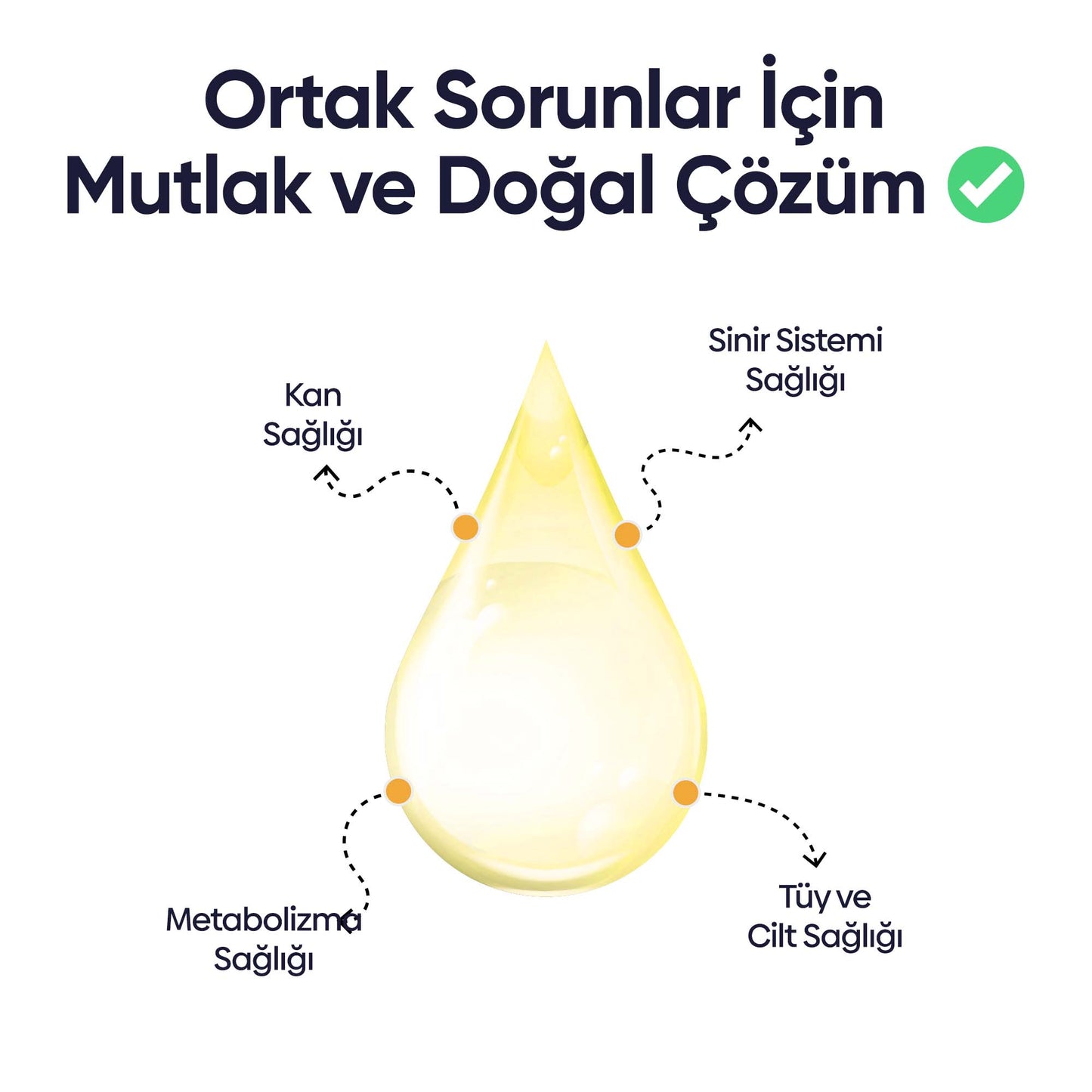 Köpekler İçin Vitamin B
