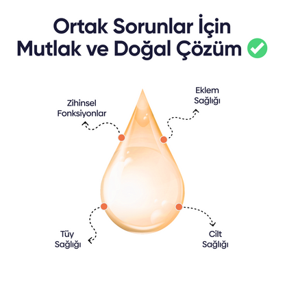 Kediler İçin Somon Yağı