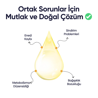 Kediler İçin Vitamin B